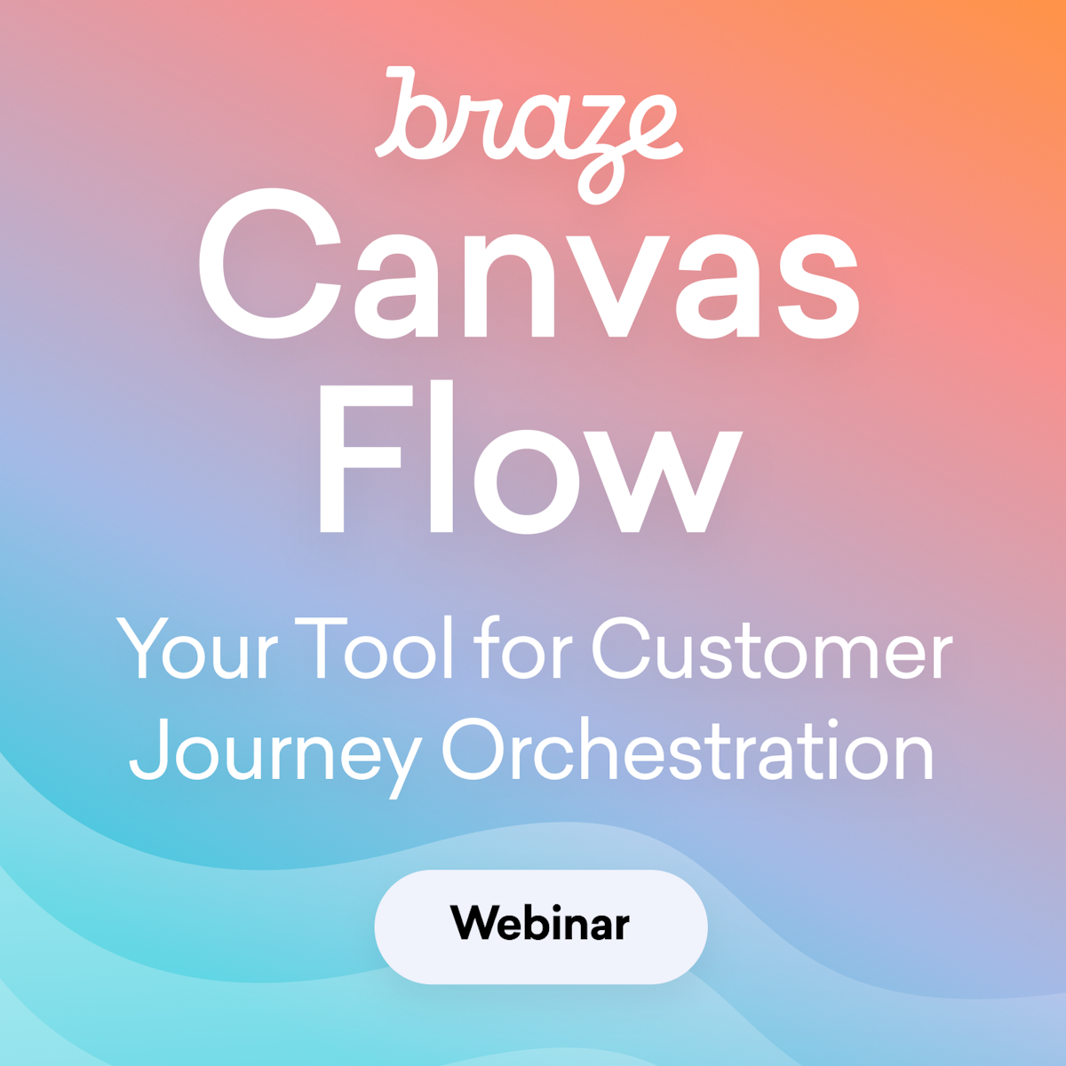 Braze Canvas Flow: Your Tool for Customer Journey Orchestration