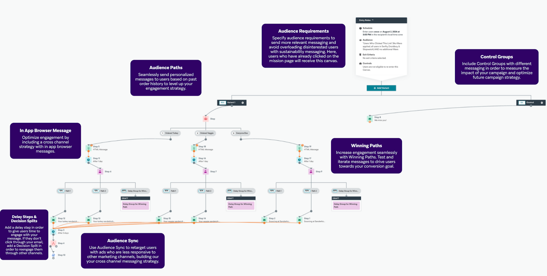 a diagram showing audience requirements and audience paths