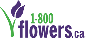 1-800 Flowers