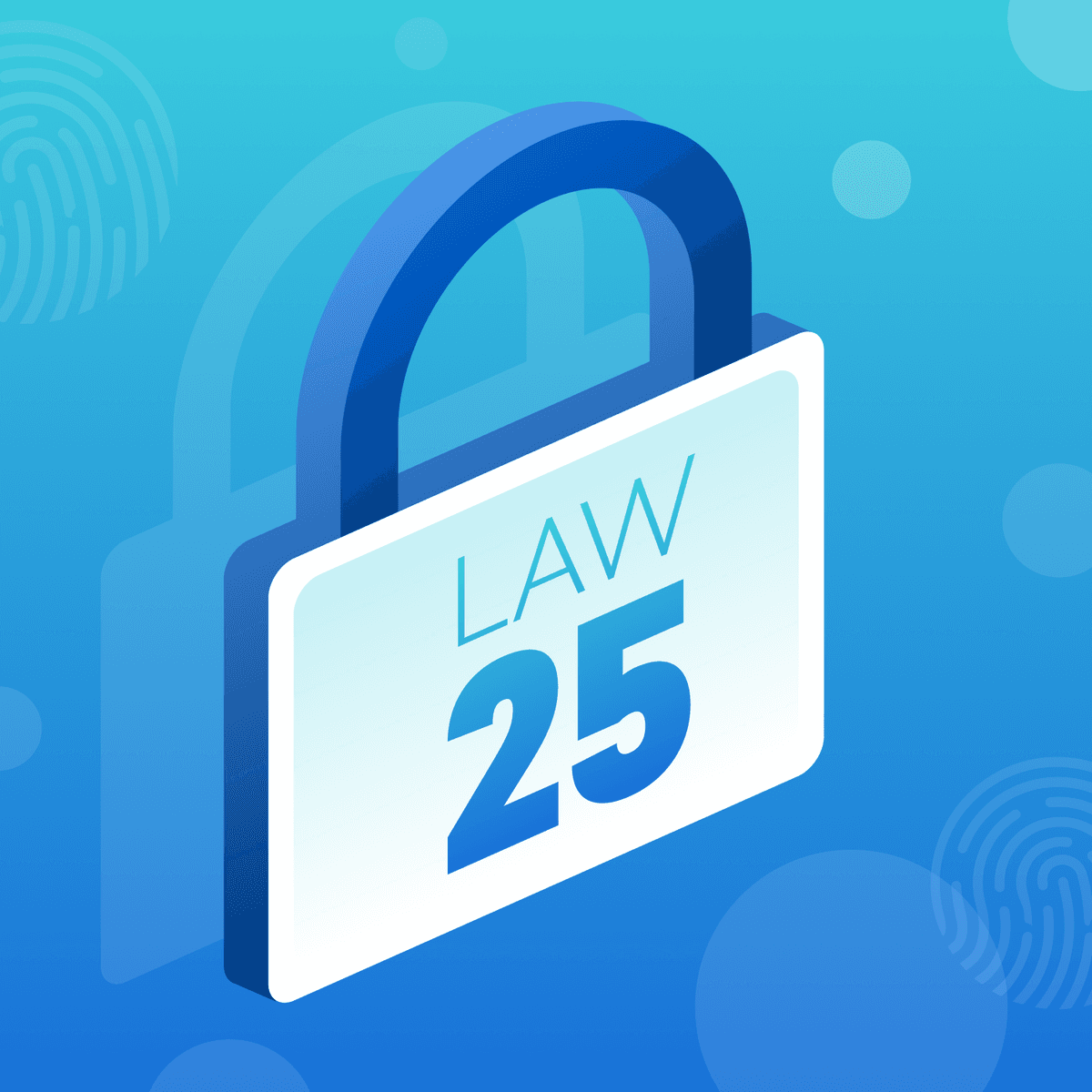 Navigating Quebec’s New Privacy Law