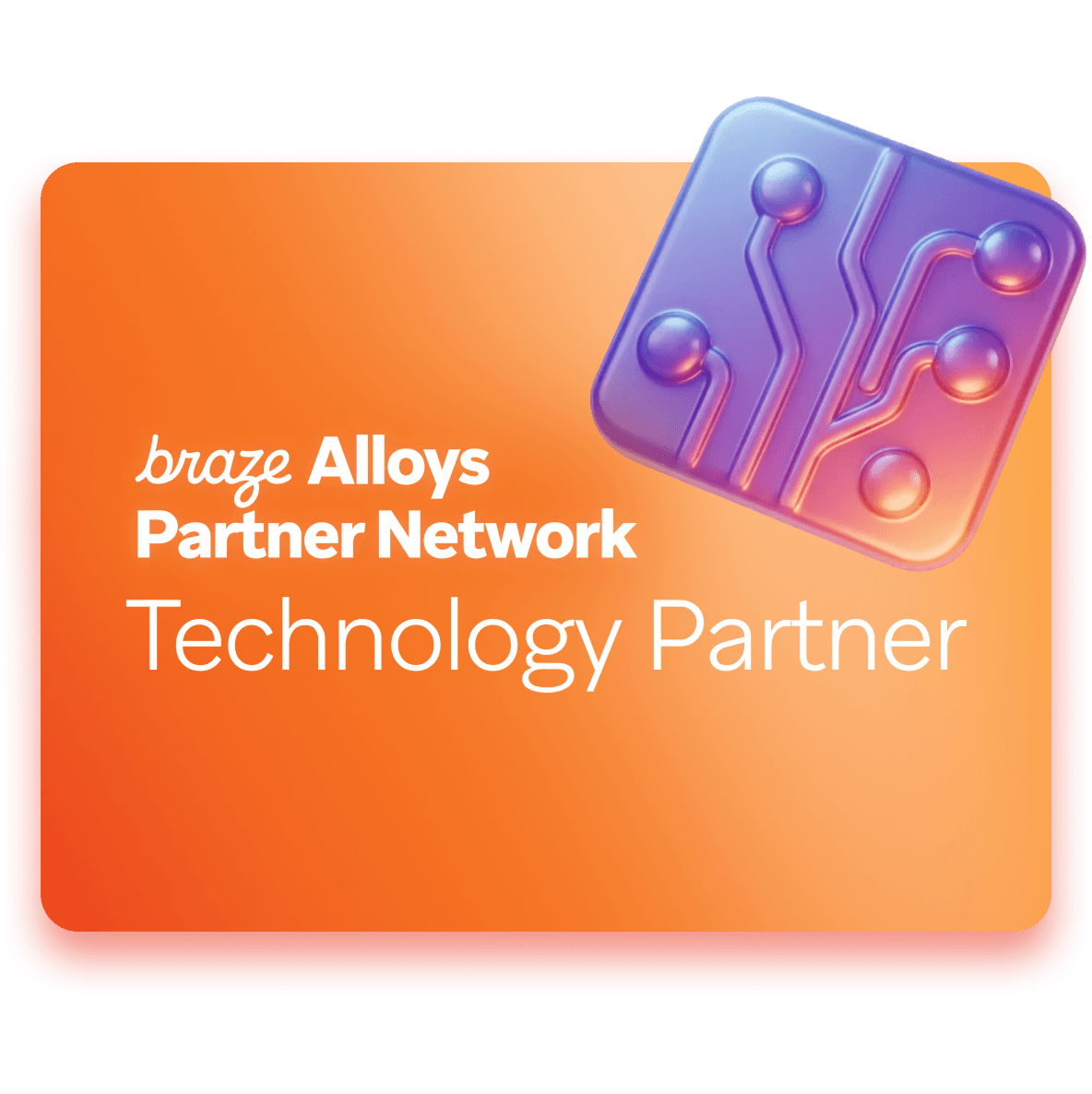 Graphic with two interlocked 3D puzzle pieces (blue and pink) on a pink gradient background. Text reads: "braze Alloys Partner Network Delivery Partner".