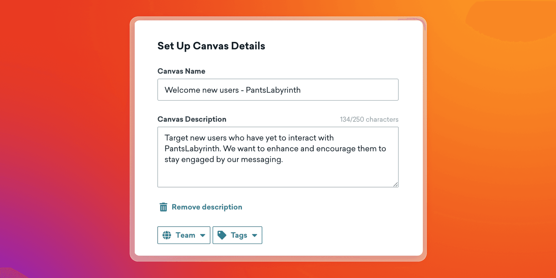 A form titled "Set Up Canvas Details" with "Welcome new users - PantsLabyrinth" in the name field and a description for targeting new users.