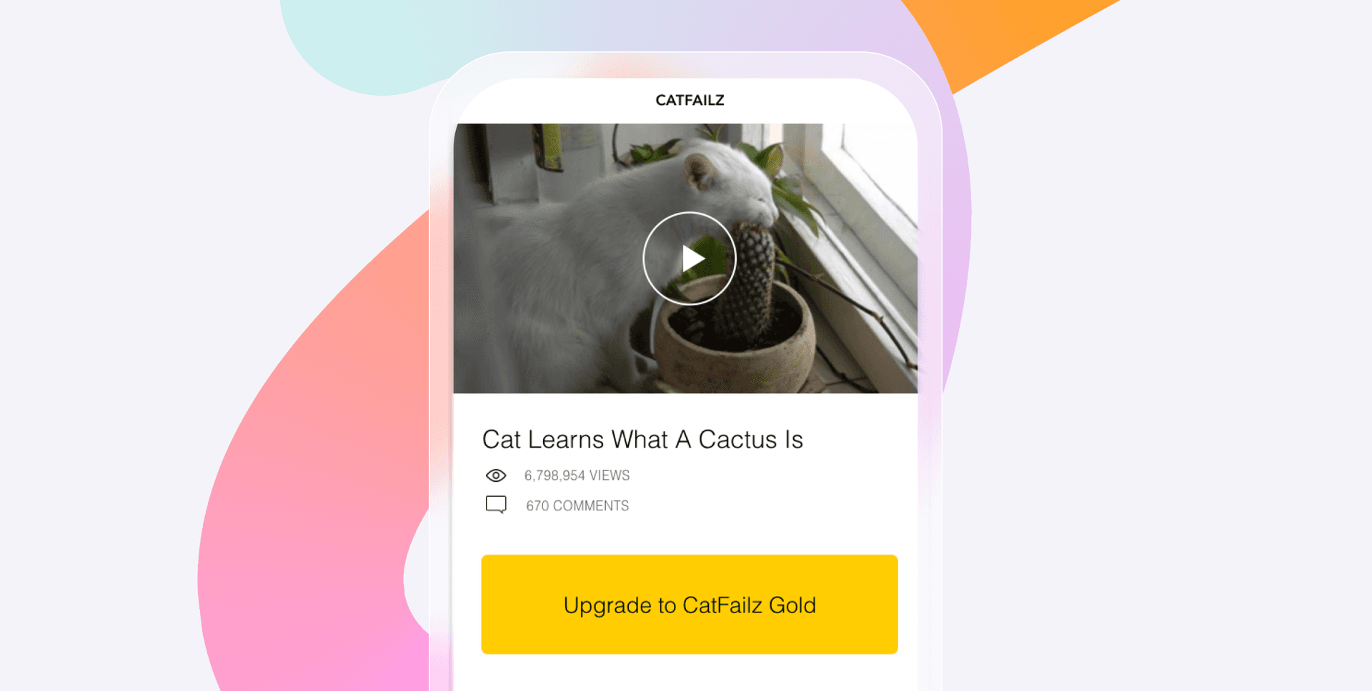 a cat learns what a cactus is video on a cell phone