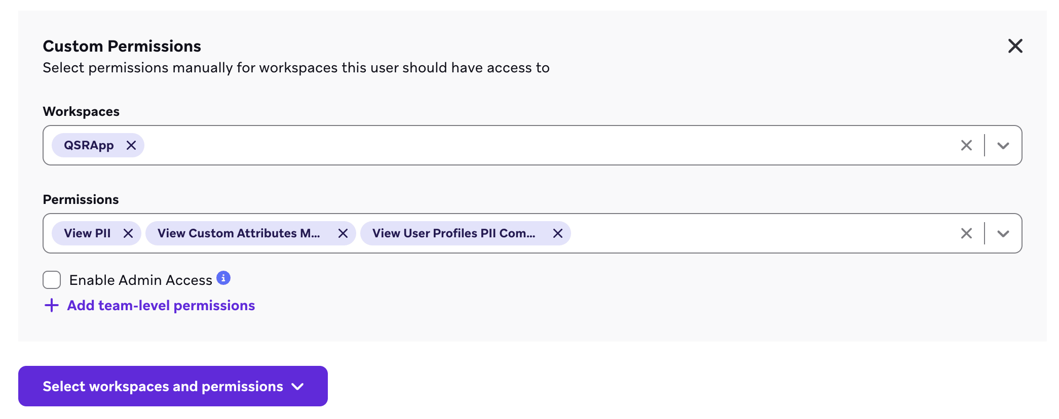 Workspace-level permissions being manually selected in Braze.