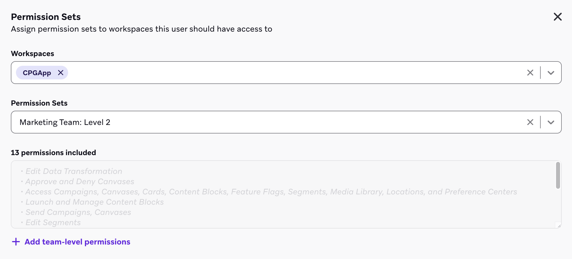 Workspace-level permissions being assigned through a permission set in Braze.