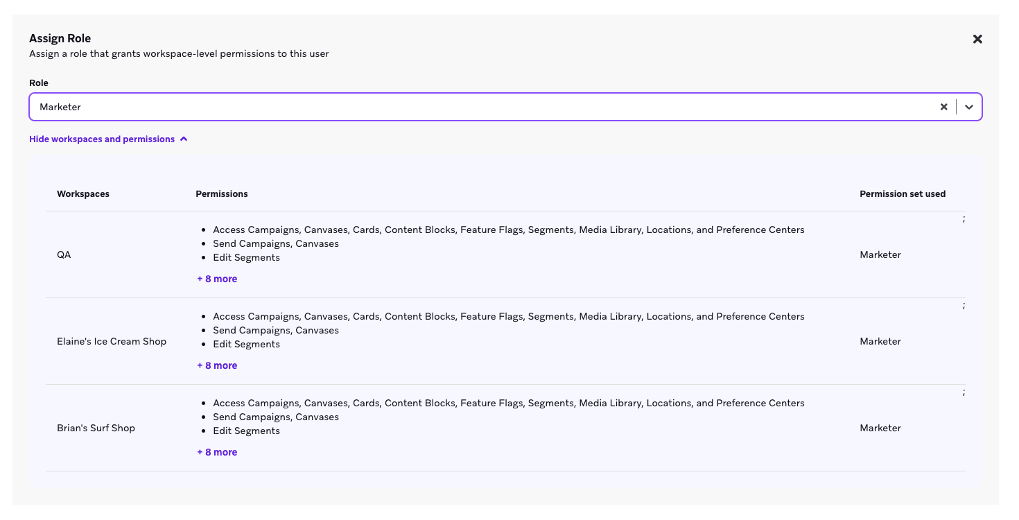 Workspace-level permissions being assigned through a role in Braze.