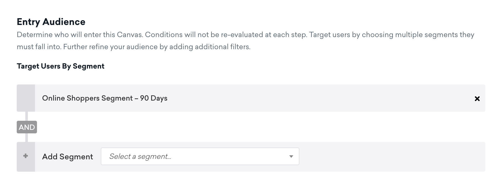 "Online Shoppers Segment - 90 Days" as the segment of users to target for this Canvas.