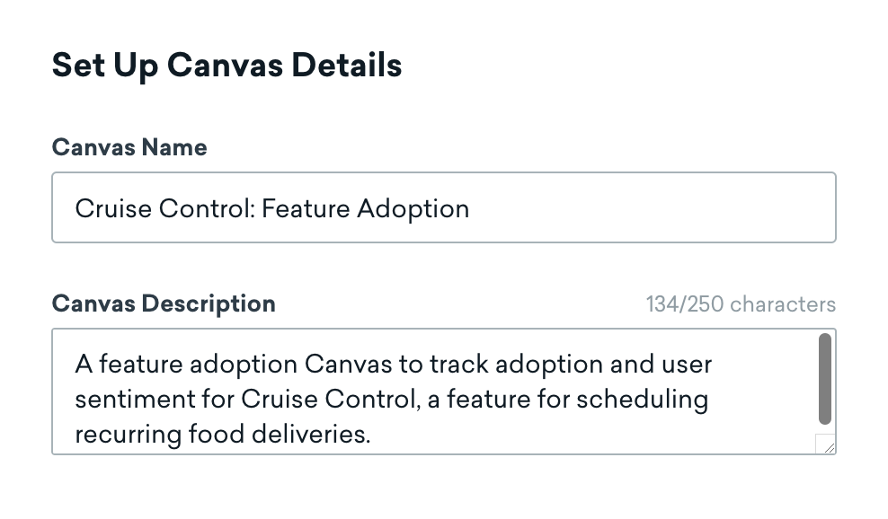 The new name and description for the Canvas. The new description states: 'A feature adoption Canvas to track adoption and user sentiment for Cruise Control, a feature for scheduling recurring food deliveries.'