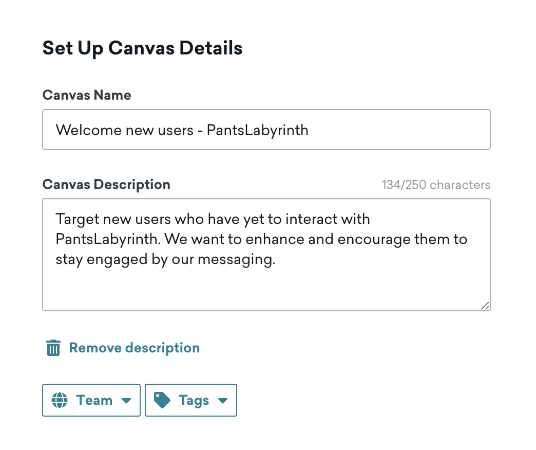 The new name, description, and tag for the Canvas.