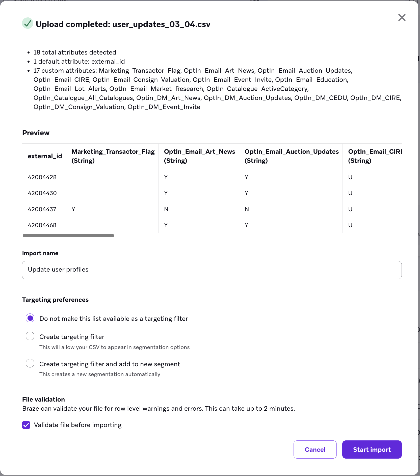 The upload completed modal showing a file preview, import name field, targeting preferences, and file validation checkbox.