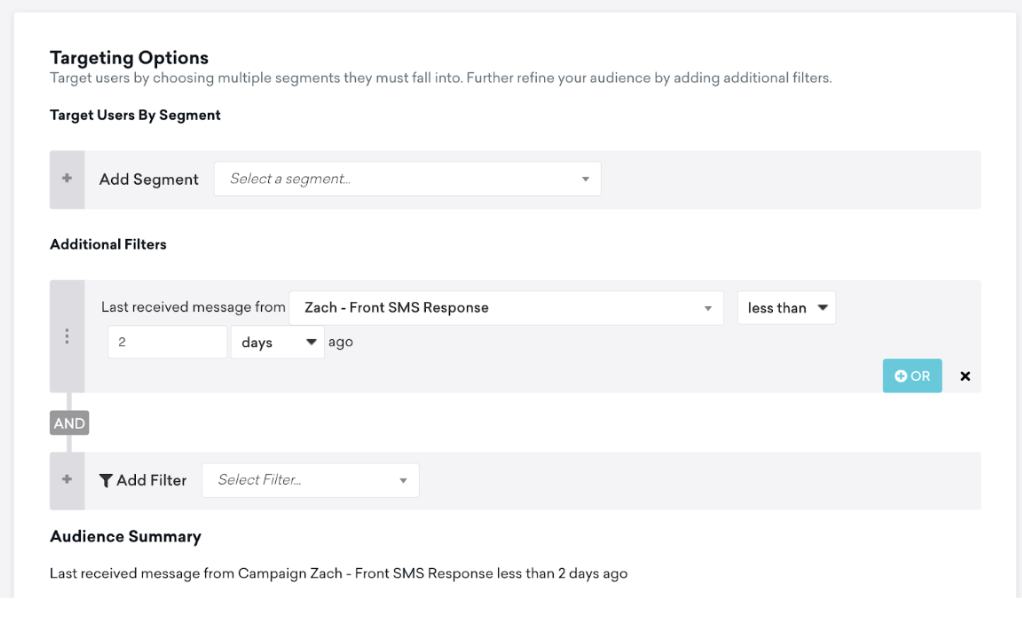 The configuration settings for the selected audience filter.