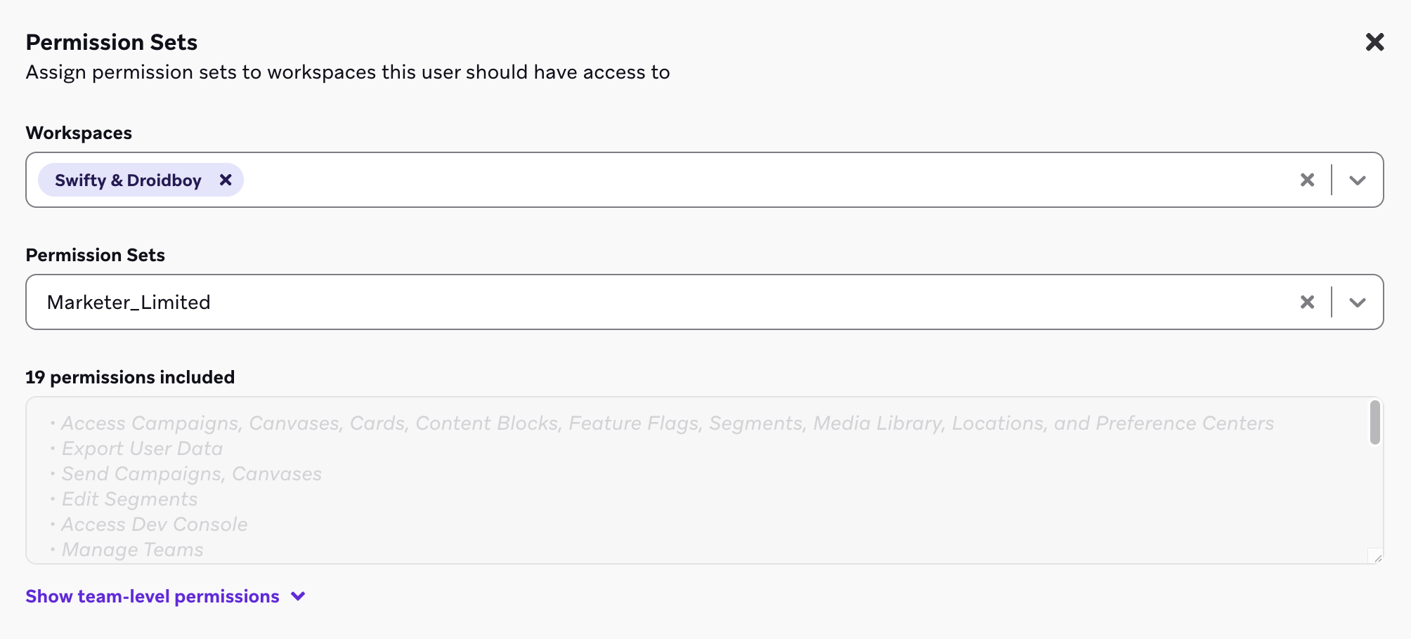 A permission set for the "Swifty & Droidboy" workspace.