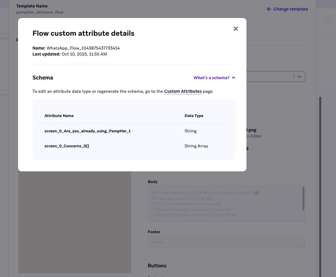 Flow custom attributes details window with schema dropdown.