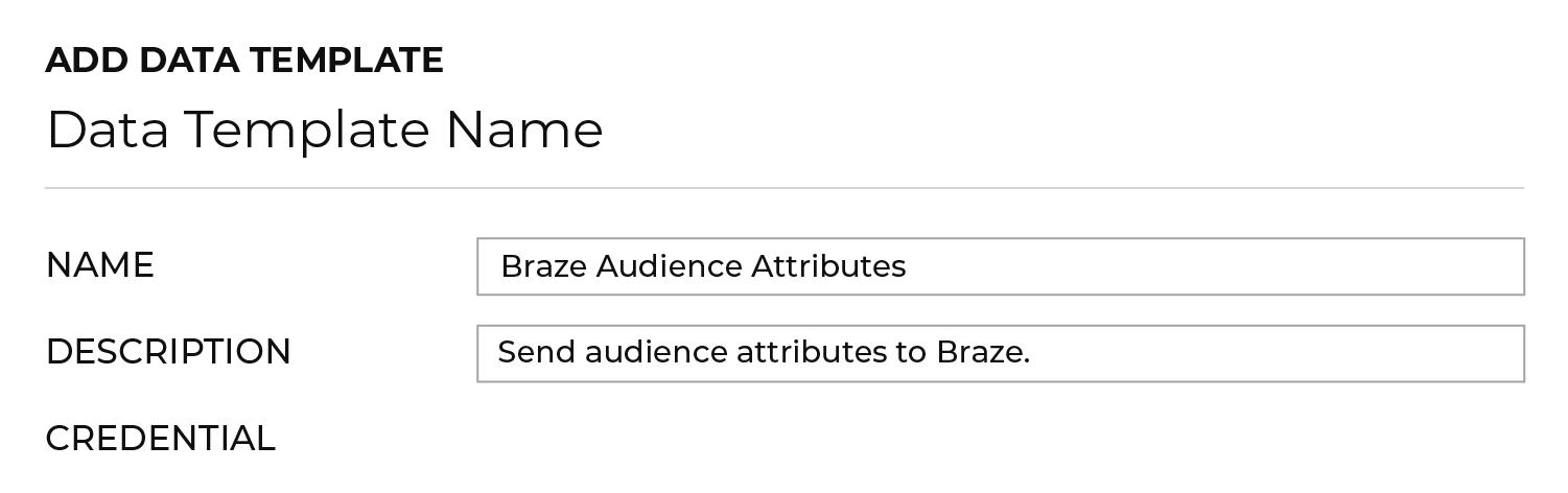 La section Nom du modèle de données avec le nom "Attributs d’audience Braze" et la description "Envoyer les attributs de l'audience à Braze."