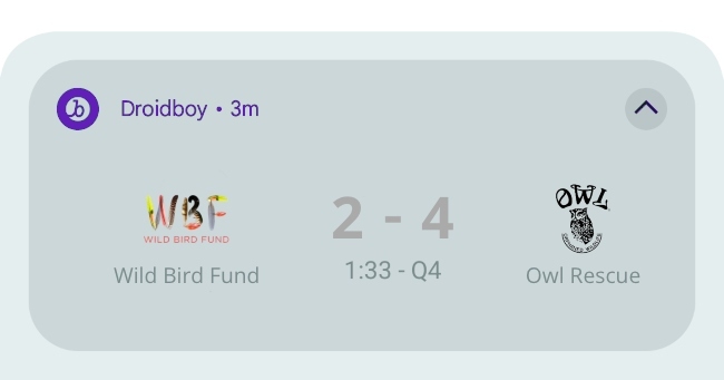 La ligne/en production/instantanée que Superb Owl veut faire, affichant un match en cours entre 'Wild Bird Fund' et 'Owl Rescue'. Nous sommes actuellement dans le quatrième quart-temps et le score est de 2-4 avec OWL en tête.