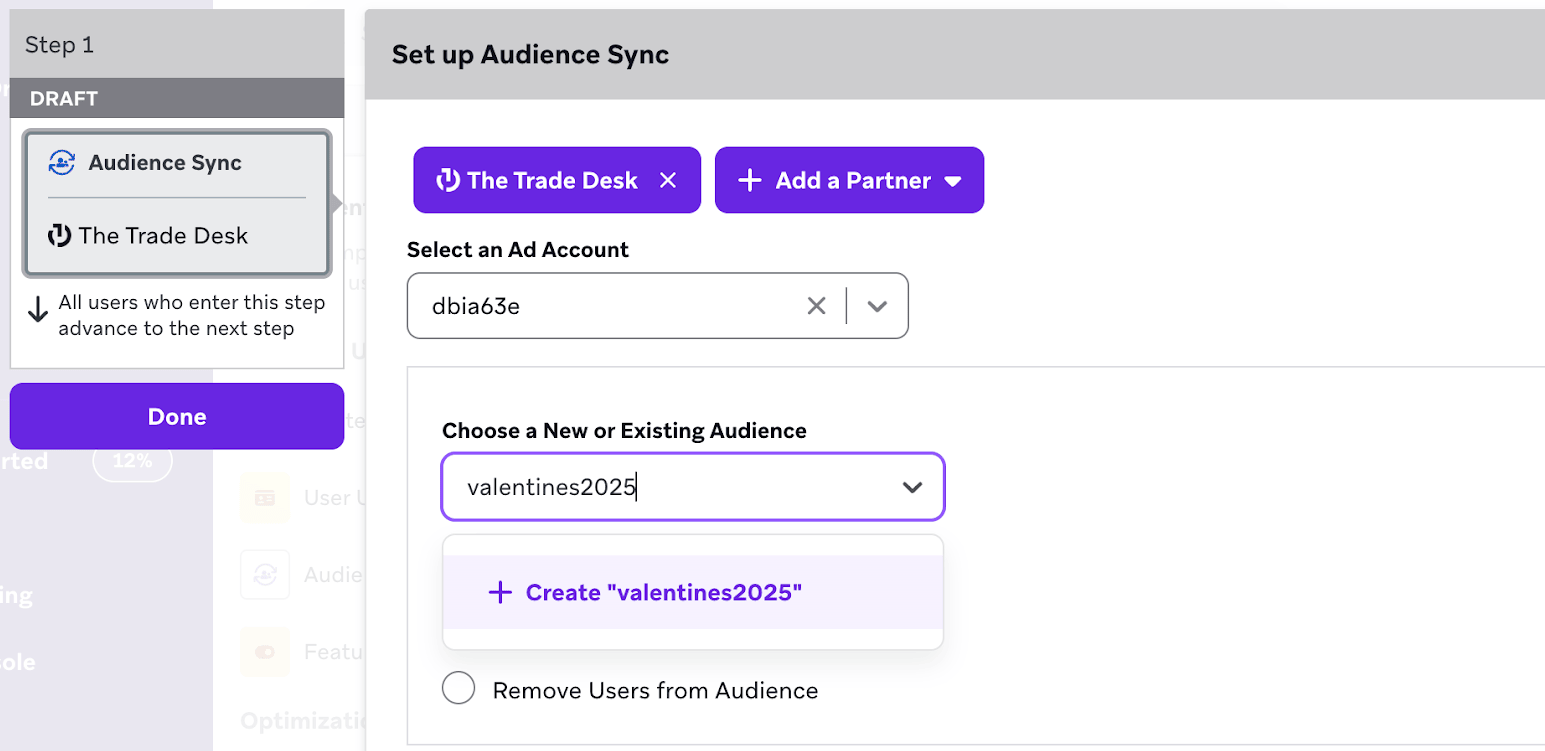 Configuration d'Audience Sync avec un champ d'audience contenant le nom « valentines2025 ».