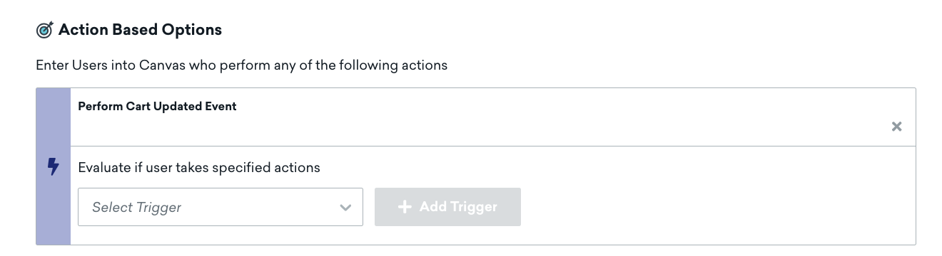 "Options basées sur l'action" pour la toile.