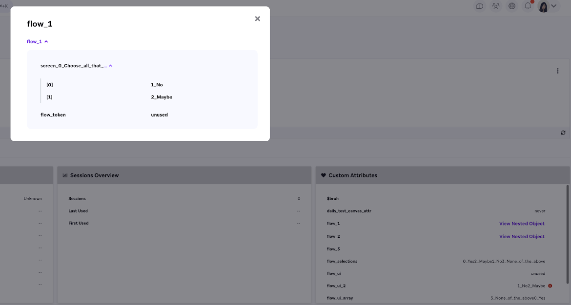 Une fenêtre affichant le contenu d'un attribut personnalisé "flow_1".