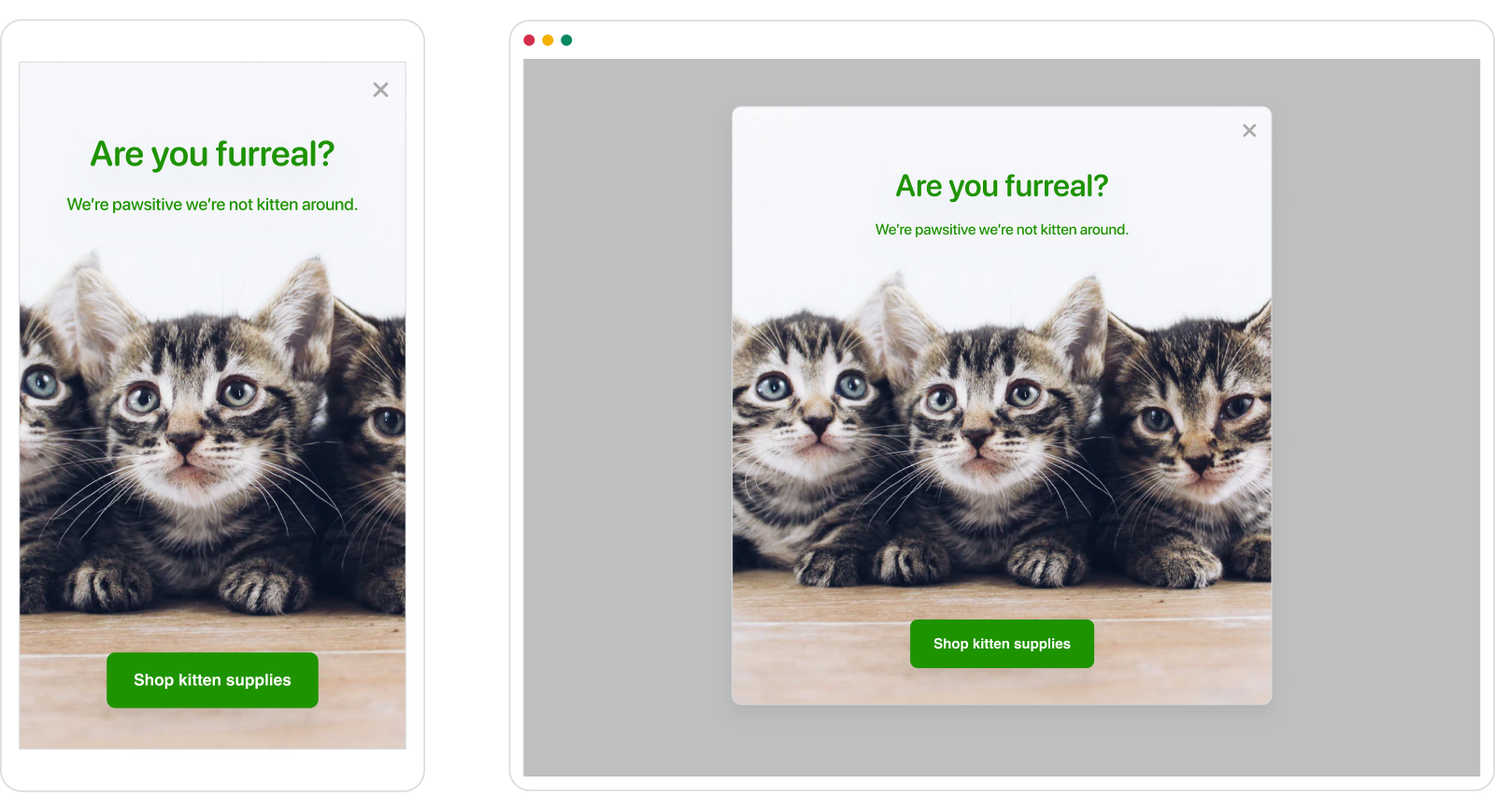 Exemple de message in-app en plein écran.