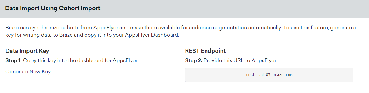 AppsFlyerテクノロジページの"Data Import Using Cohort Import"ボックスデータインポートキーとREST エンドポイントが表示されます。