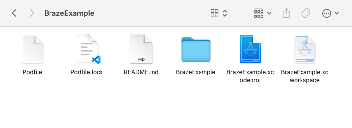 ろう付けの例のフォルダが展開され、新しい`Braze Example.workspace`.