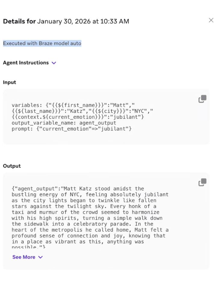 지침에 Liquid가 있는 상담원에 대한 세부 정보입니다.