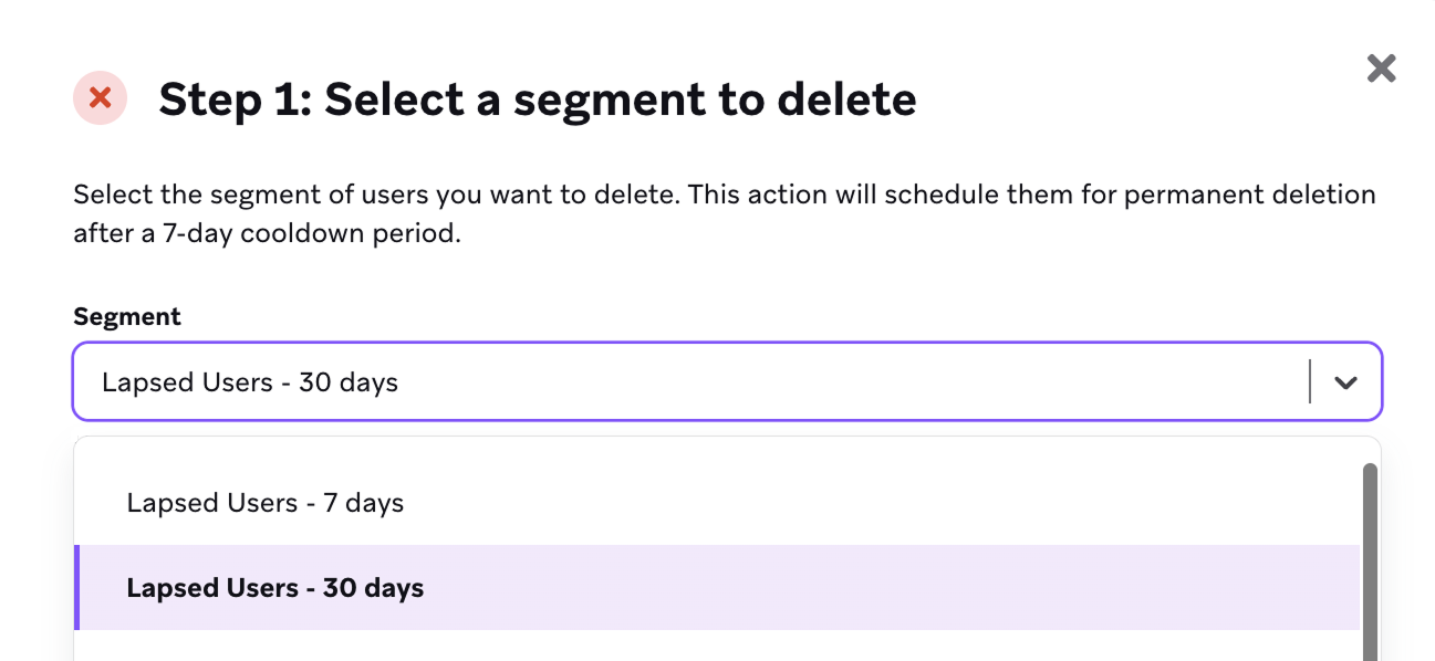 삭제할 세그먼트가 선택된 팝업 창.