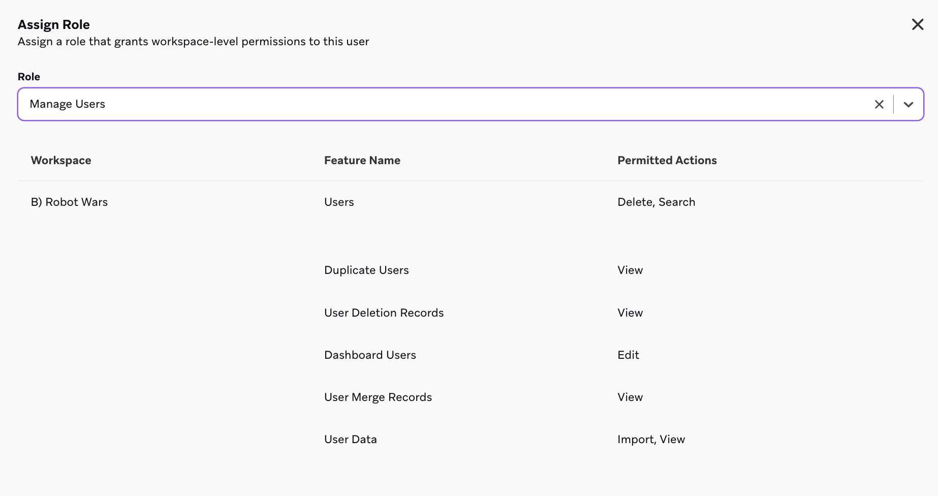 Braze에서 역할을 통해 할당된 작업 공간 수준 권한.
