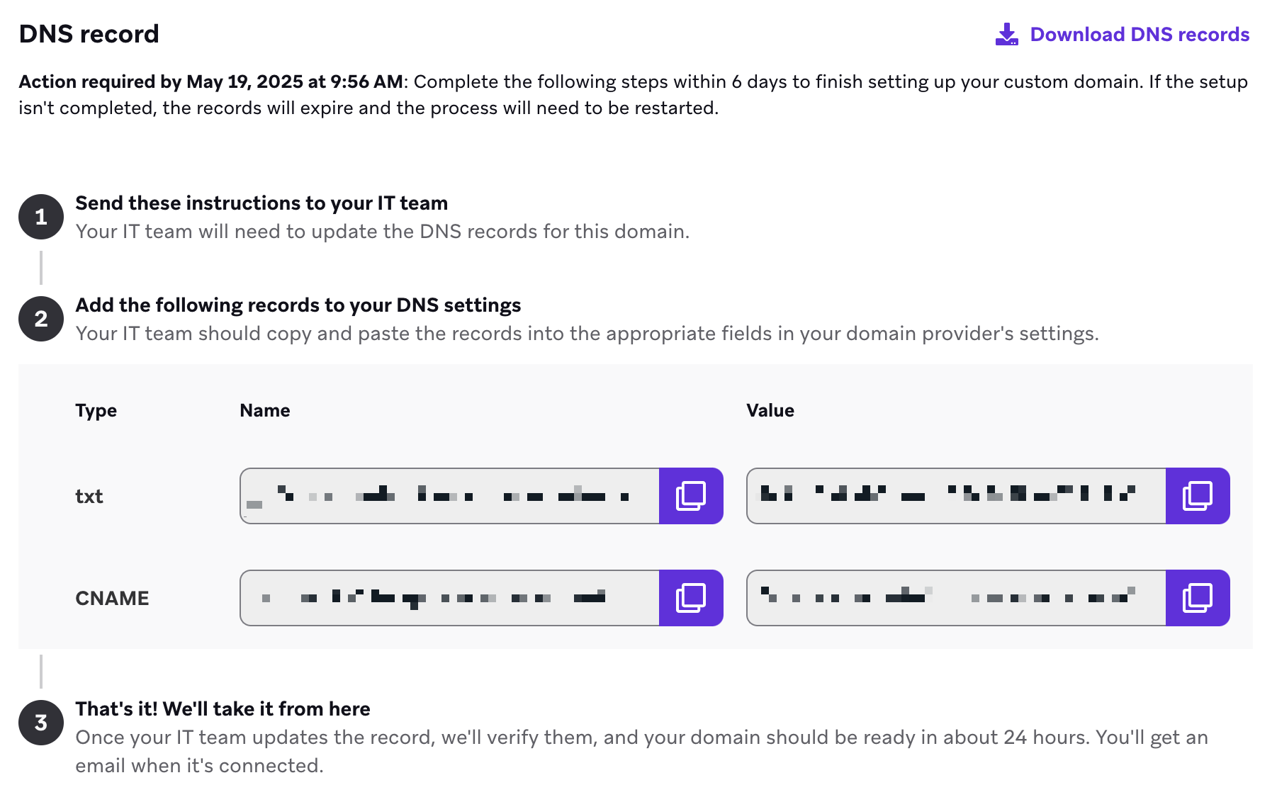 "DNS record" section with 3 steps to complete to finish setting up your domain.