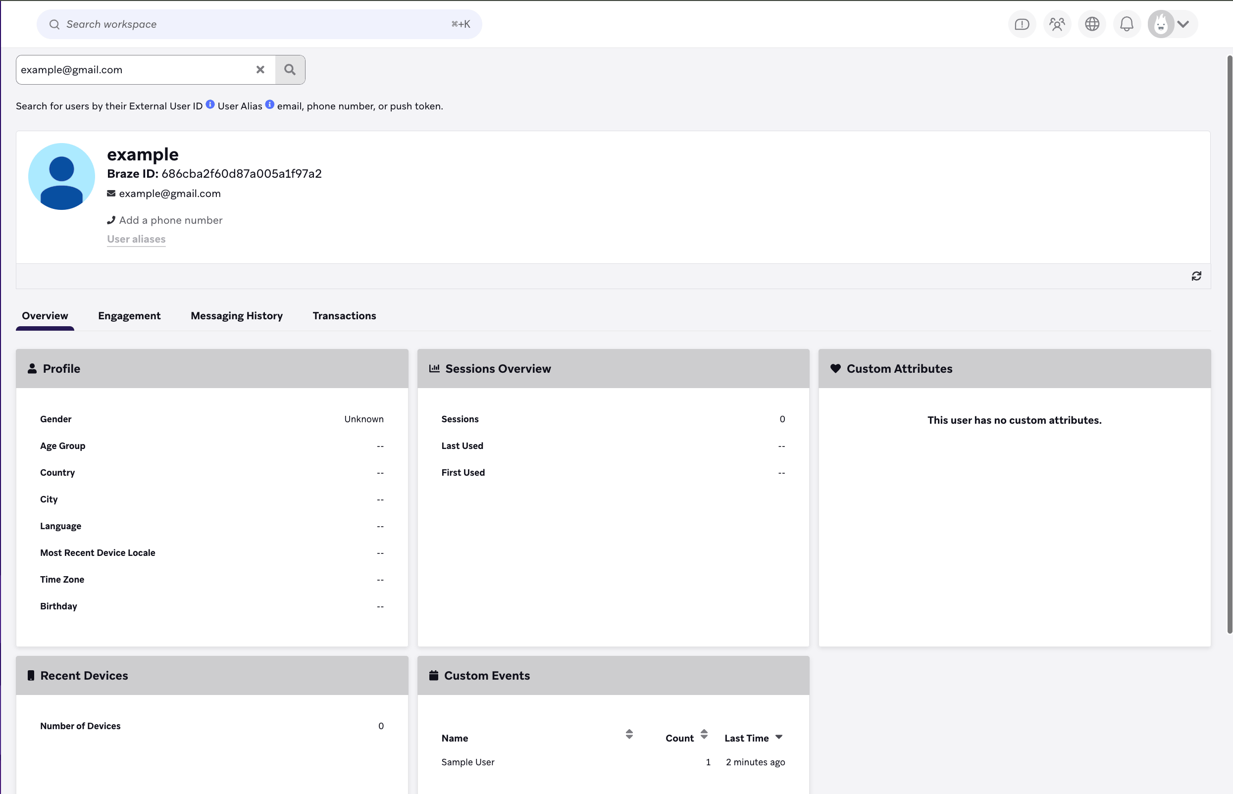 Visualizando o perfil de um usuário e a visão geral da atividade na Braze