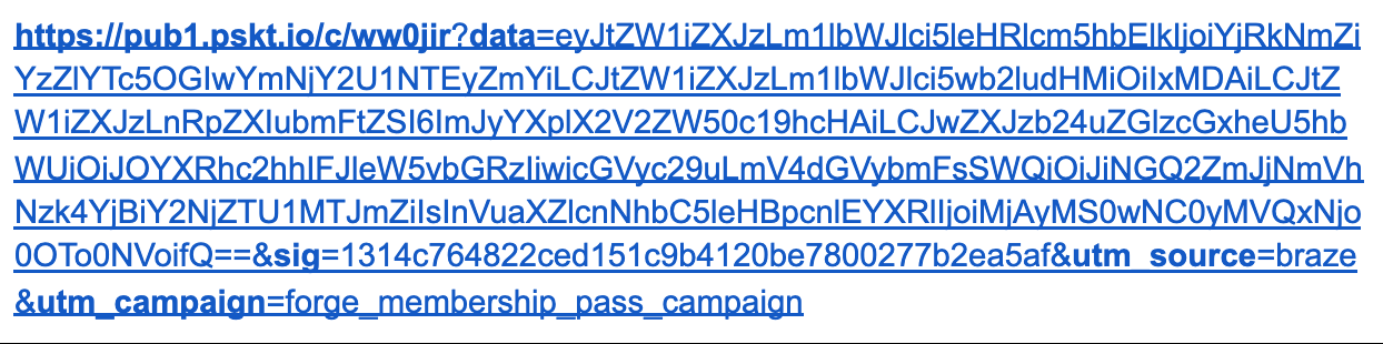 O URL de saída que inclui uma string longa e gerada aleatoriamente com letras e números.